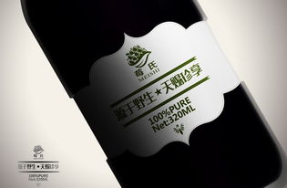 莓氏野生藍(lán)莓果汁“靈智飛揚(yáng)” 品牌設(shè)計的力量